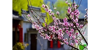 陽春三月，臺群精機(jī)一大波展會即將來襲，您準(zhǔn)備好了嗎？