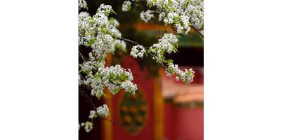 【展會資訊】臺群精機5月展會一覽，等您來參觀！